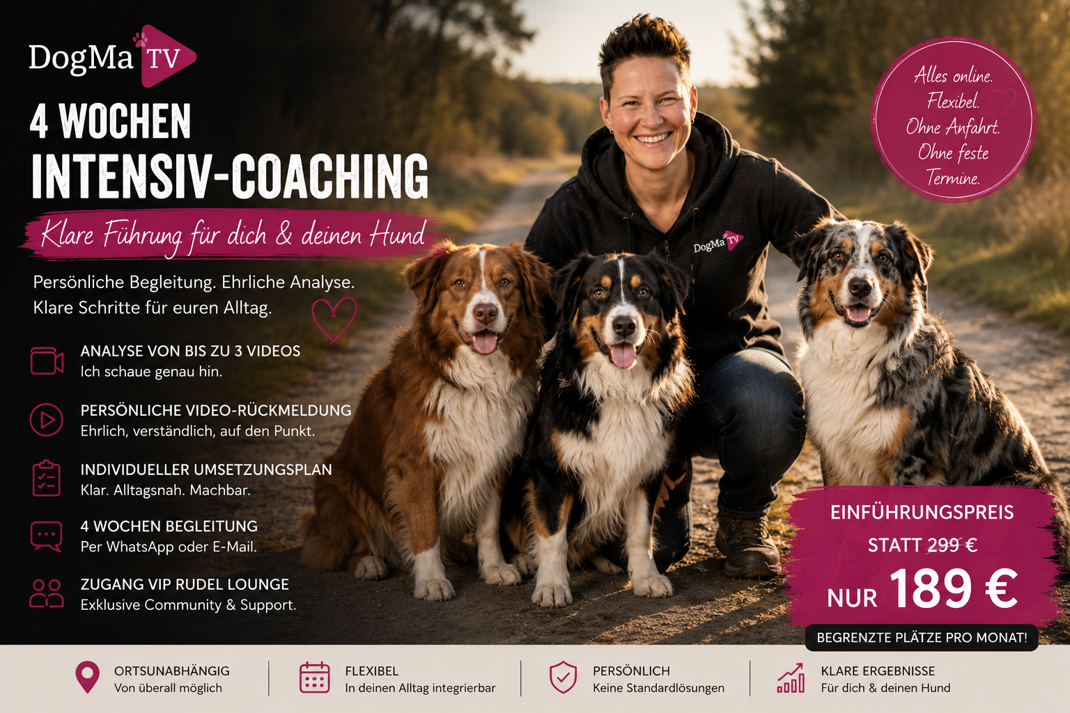 🚨 4 Wochen DogMa TV Intensiv-Coaching – Klare Führung für dich & deinen Hund